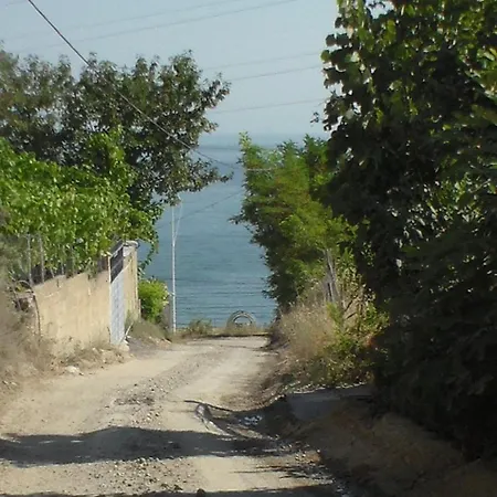 The Living Painting * Vlore