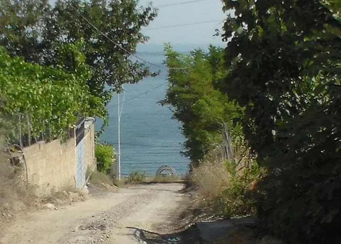 The Living Painting * Vlorë
